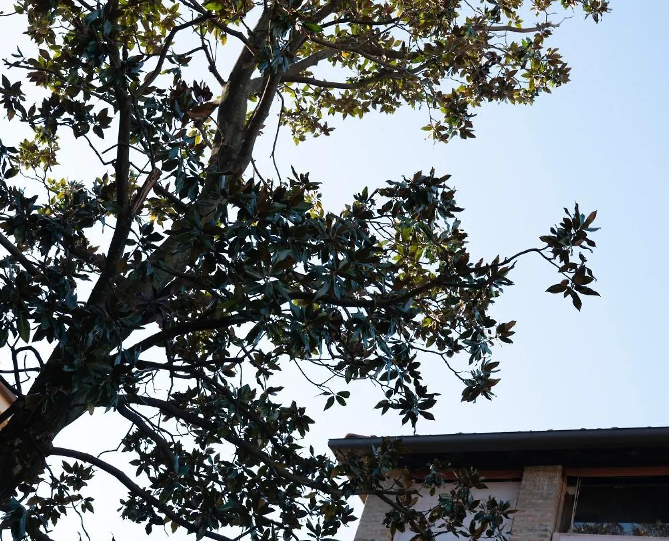 Apartment Caseospitali - Orso7 Delizioso Appartamento Nel Cuore Di Bologna